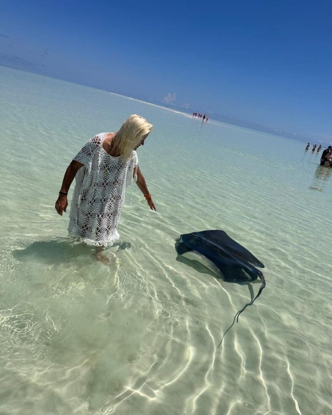 Offering breath taking adventures of endless sea and sky. Whether it’s the dawn’s first light or a star-studded night. The seaside campsite offers unparalleled opportunity to connect with nature leaving you enchanted and longing to return.